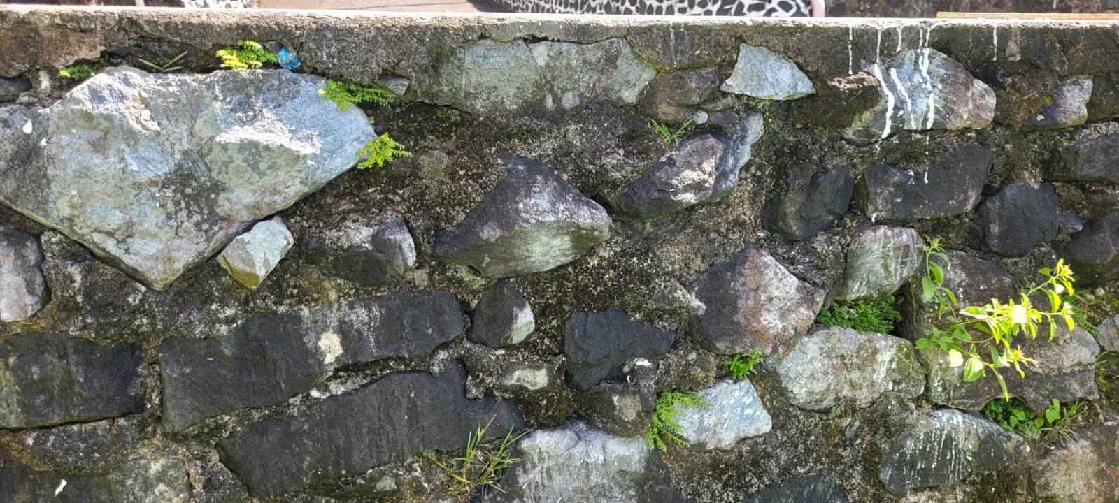 Parede de pedra